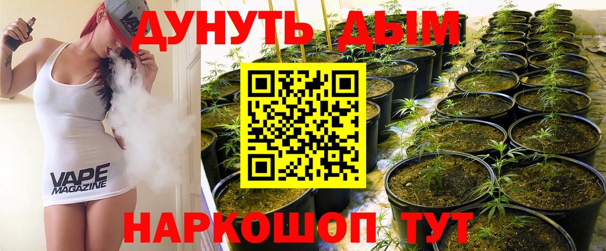 Шишки марихуана сатива  Канабис AK-47  Вход с VPN  Каннабис Ganja  Златоуст 